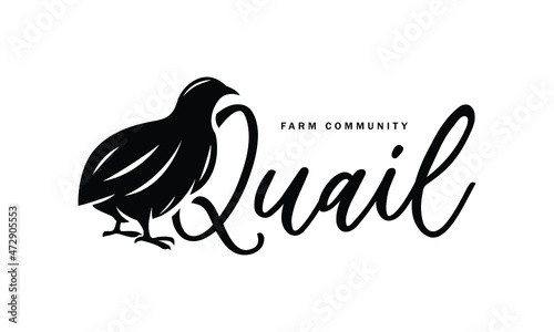Obraz na plátně A Cute Quail vector Illustration - Creative logo, icon, symbol, badge, emblem fo