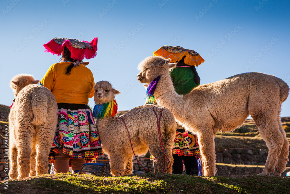 Indigenous women  in traditional clothing with alpacas, Cusco, Peru - obrazy, fototapety, plakaty 