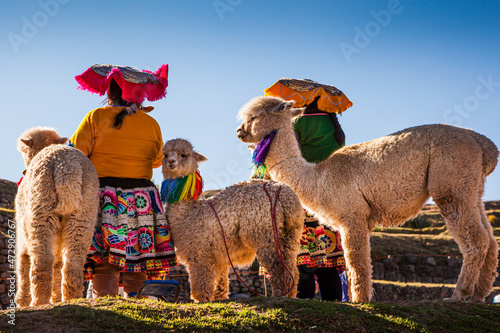 Indigenous women  in traditional clothing with alpacas, Cusco, Peru Fototapet
