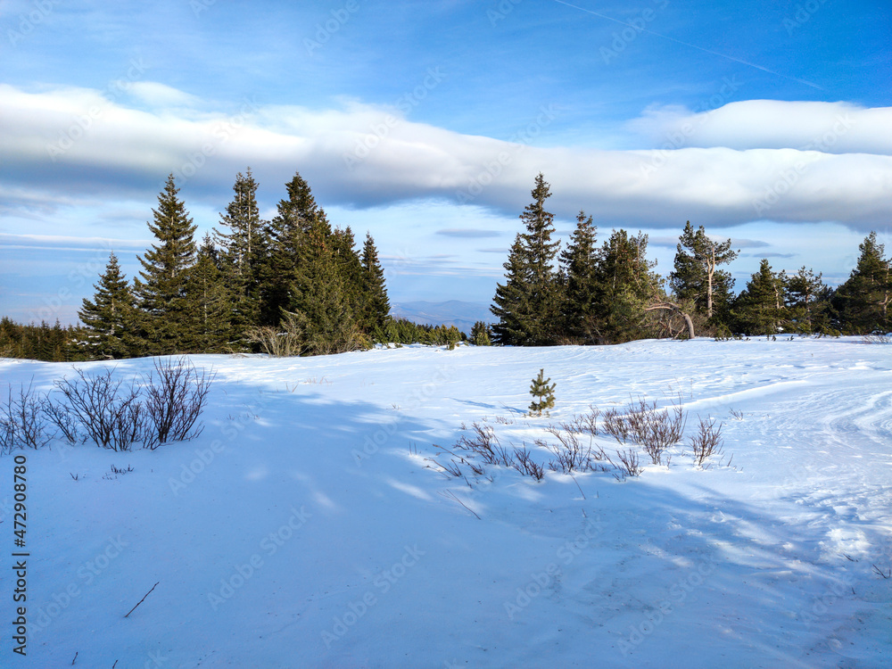 Winter view near Platoto area at Vitosha Mountain, Bulgaria Winter view near Platoto area at Vitosha Mountain, Bulgaria