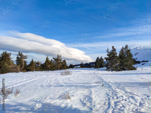 Winter view near Platoto area at Vitosha Mountain, Bulgaria © Stoyan Haytov