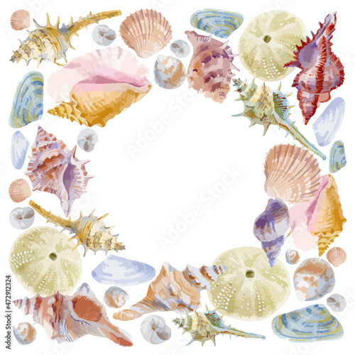 Vector illustration of  watercolor frame composition of seashells isolated on white background.