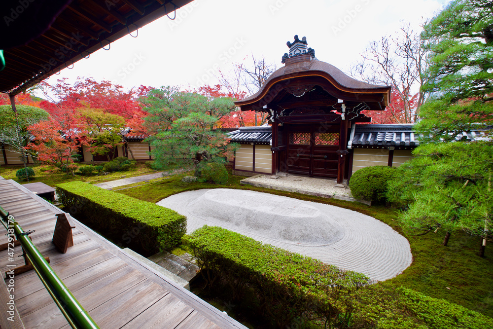 Obraz premium 【京都】禅林寺の紅葉（秋）