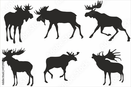 Vector monochrome set of moose silhouettes. Black Shadows of wild mammals animals. Elk with horns 