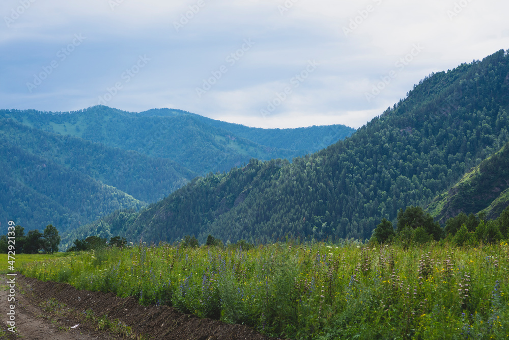 asphalt road between mountain peaks. warm summer day