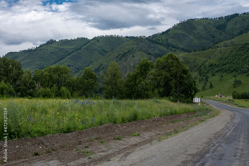 Fototapeta premium asphalt road between mountain peaks. warm summer day