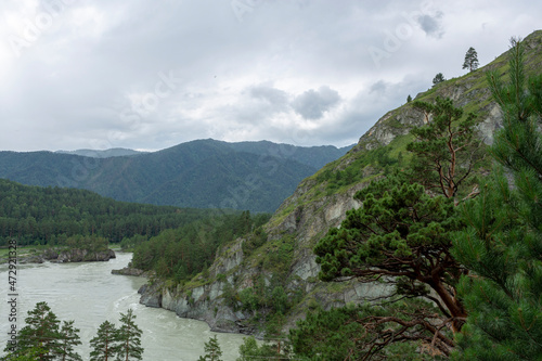 stormy deep river in a mountain valley surrounded by pine forest
