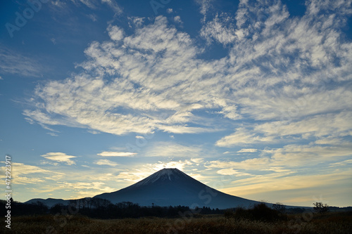 朝霧高原