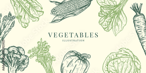 Vegetables Illustration