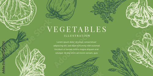 Vegetables Illustration