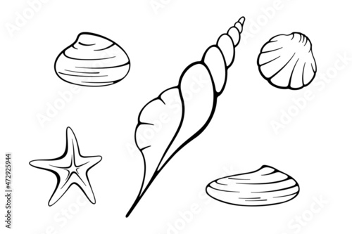 Sea shells and starfish. Hand drawn doodle icons collection. Isolated black elements on white background. Best for seamless patterns, print, apps, stickers and web design.