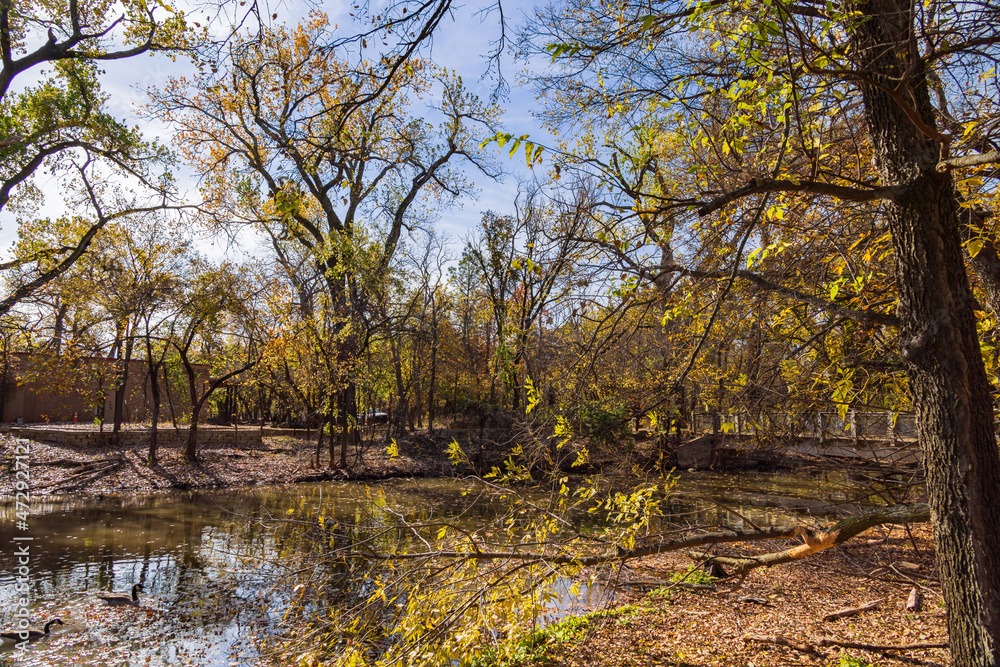 Beautiful fall color of the Martin Park Nature Center Beautiful fall color of the Martin Park Nature Center