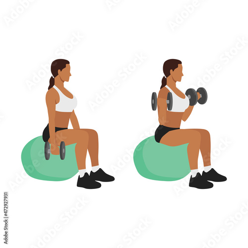 Woman doing exercise Swiss ball bicep curls with dumbbell. Flat vector illustration isolated on different layer. Workout character