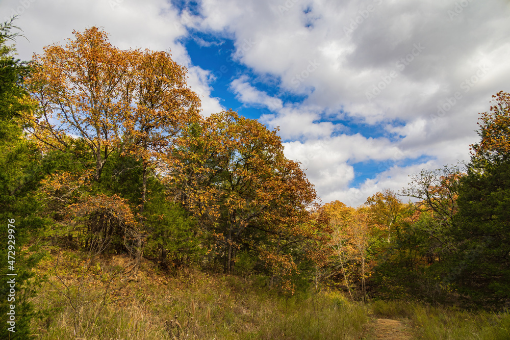 Fall color of the Osage Hills State Park Fall color of the Osage Hills State Park