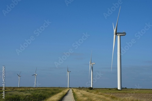 Vind turbine field. Champ d'éoliennes. photo