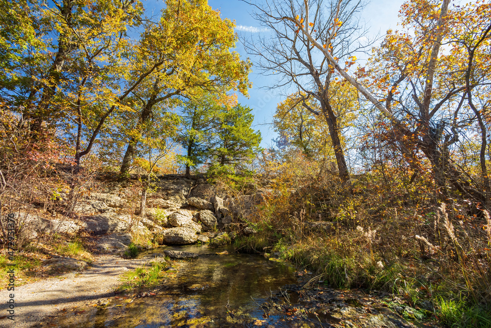 Fall color of the nature and Antelope Springs