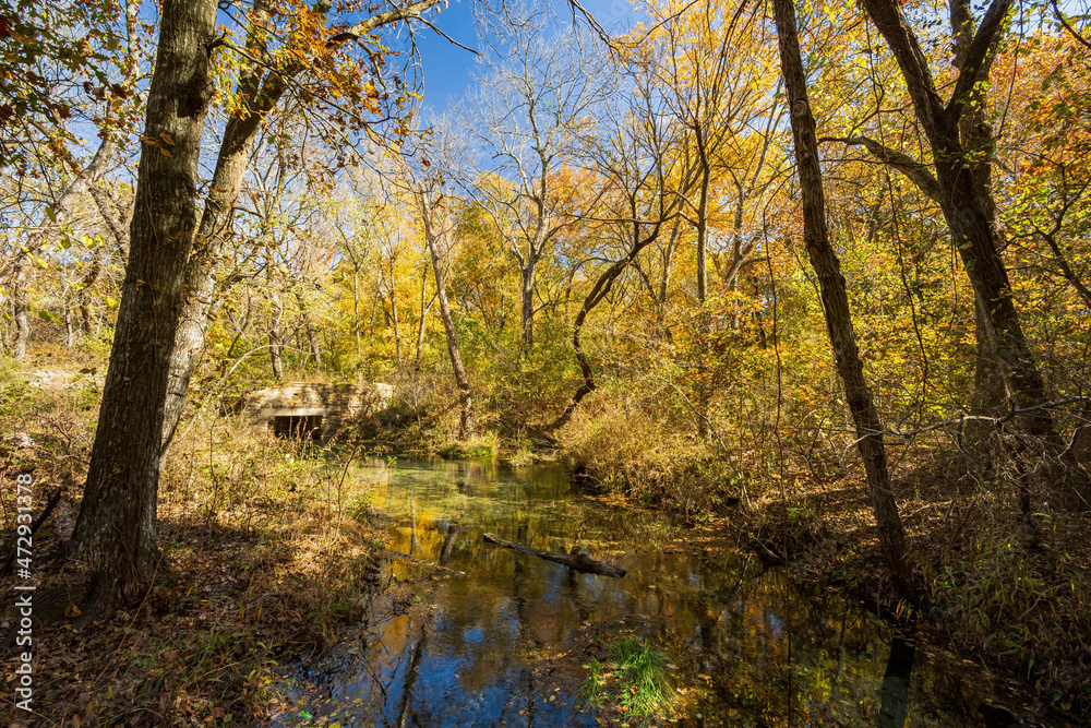 Fall color of the nature trail in Chickasaw National Recreation Area Fall color of the nature trail in Chickasaw National Recreation Area