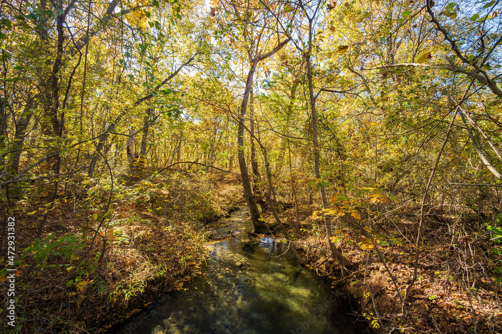 Fall color of the nature trail in Chickasaw National Recreation Area Fall color of the nature trail in Chickasaw National Recreation Area