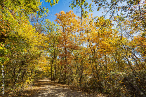 Fall color of the nature trail in Chickasaw National Recreation Area © Kit Leong