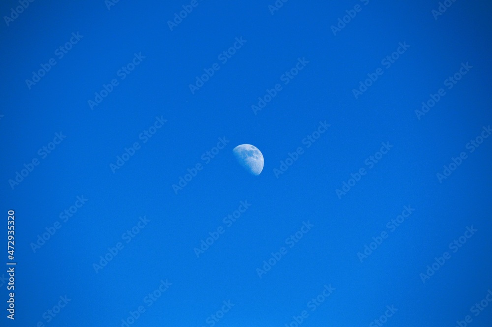 Moom Moom