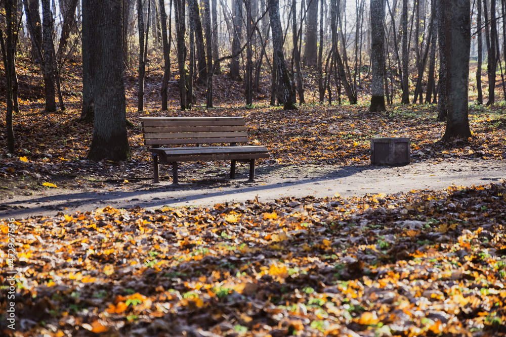 Wooden bench for site seeing and to get rest in the park with warm autumn evening light. Vacation, free time and recreation theme.