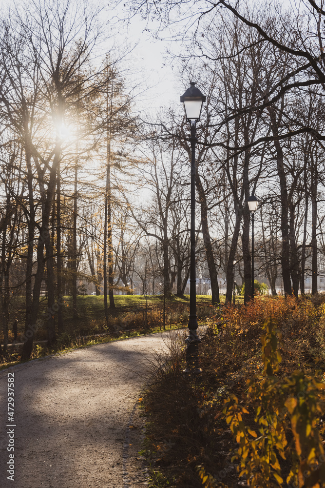 Beautiful walking path in a park on a sunny autumn day with bare trees, light posts, sun and many shadows. 