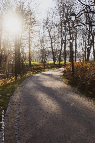 Beautiful walking path in a park on a sunny autumn day with bare trees, light posts, sun and many shadows.  © boumenjapet