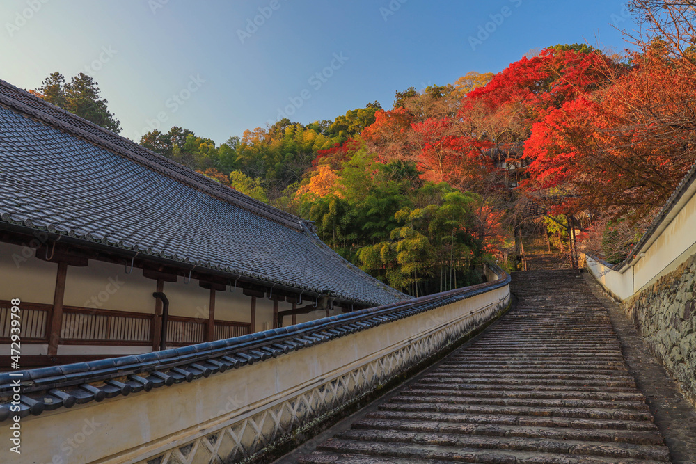 Fototapeta premium 奈良 長谷寺の紅葉と石段