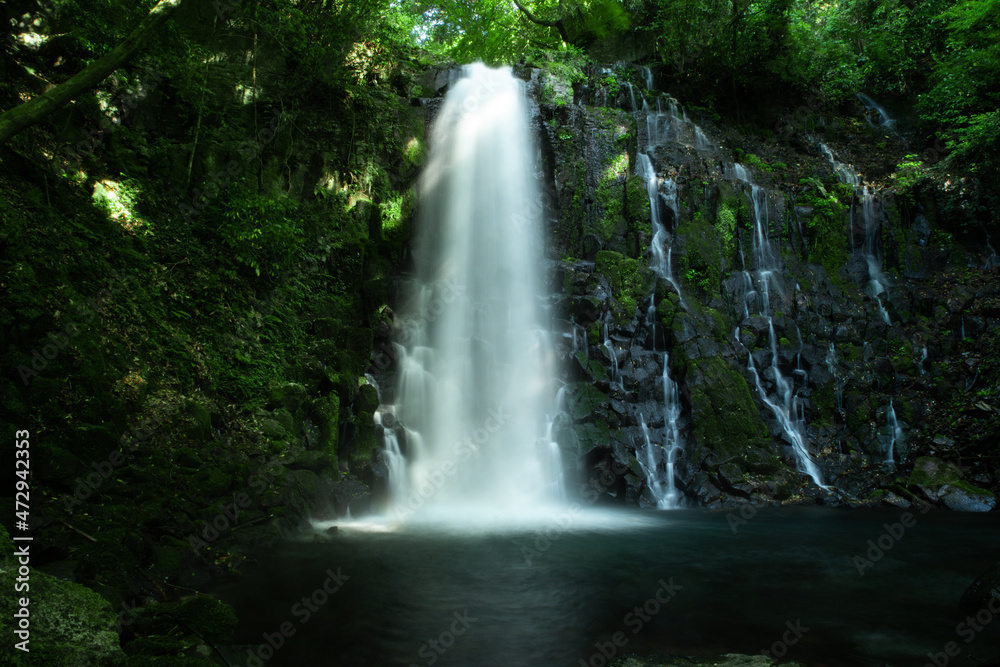 Fototapeta premium 熊本県西原村の白糸の滝