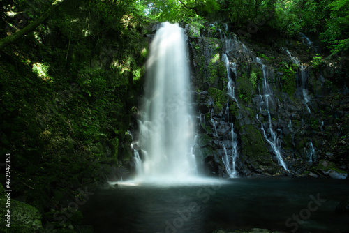 Fototapeta Naklejka Na Ścianę i Meble -  熊本県西原村の白糸の滝