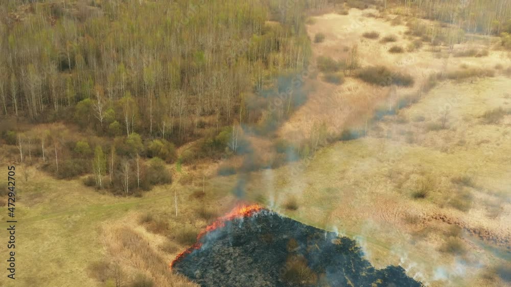 4K Aerial View Spring Dry Grass Burns During Drought Hot Weather. Bush Fire And Smoke. Fire Engine, Fire Truck On Firefighting Operation. Wild Open Fire Destroys Grass. Ecological Problem Air 4K Aerial View Spring Dry Grass Burns During Drought Hot Weather. Bush Fire And Smoke. Fire Engine, Fire Truck On Firefighting Operation. Wild Open Fire Destroys Grass. Ecological Problem Air