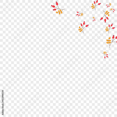 Pink Berries Background Transparent Vector. Herb Silhouette Card. Red Foliage Collection. Season Set. Leaves Gradation.