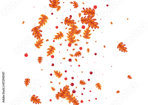 Gold Acorn Background White Vector. Leaves Elm Set. Orange Plant. Forest Illustration. Red Oak Gradation.