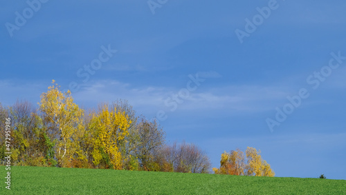 die Farben des Herbstes  photo