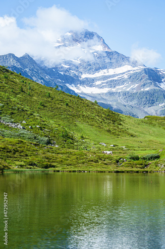 The meadows, glaciers, lakes and mountains of the Simplon Pass: one of the most beautiful areas of Switzerland located in the heart of the Alps - July 2021. © Roberto