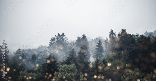 Photos Lichterbokeh vor weihnachtlich winterlichem Wald - Banner mit festlichem Glitzer