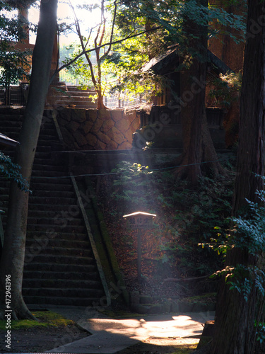 Wallpaper Mural 一筋の光射すお寺の境内 Torontodigital.ca