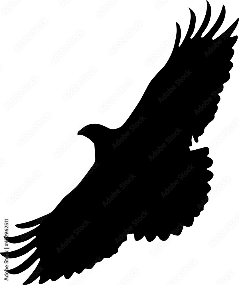 Hawk Bird Silhouette SVG Hawk Bird Vector SVG Stock Vector | Adobe Stock