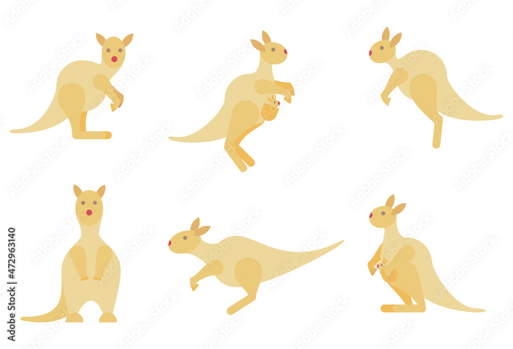 Kangaroo set, wallaby Australian animal character in different poses, Vector cartoon illustration in flat stile. 