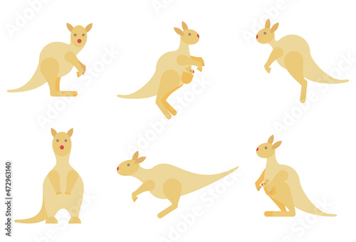 Kangaroo set, wallaby Australian animal character in different poses, Vector cartoon illustration in flat stile. 