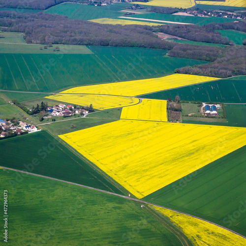 vue aérienne de champs de colza à Bû en Eure-et-Loir en France