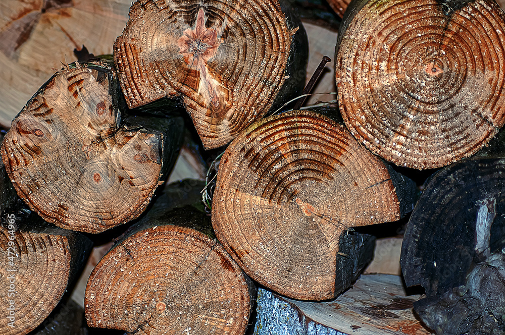 pile of firewood pile of firewood