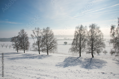 Winterlandschaft mit Bäumen