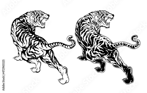 tiger illustration in two styles for designers and other creative use