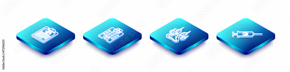 Set Isometric line Clinical record pet, Veterinary medicine hospital, Paw print and Syringe with vaccine icon. Vector Set Isometric line Clinical record pet, Veterinary medicine hospital, Paw print and Syringe with vaccine icon. Vector