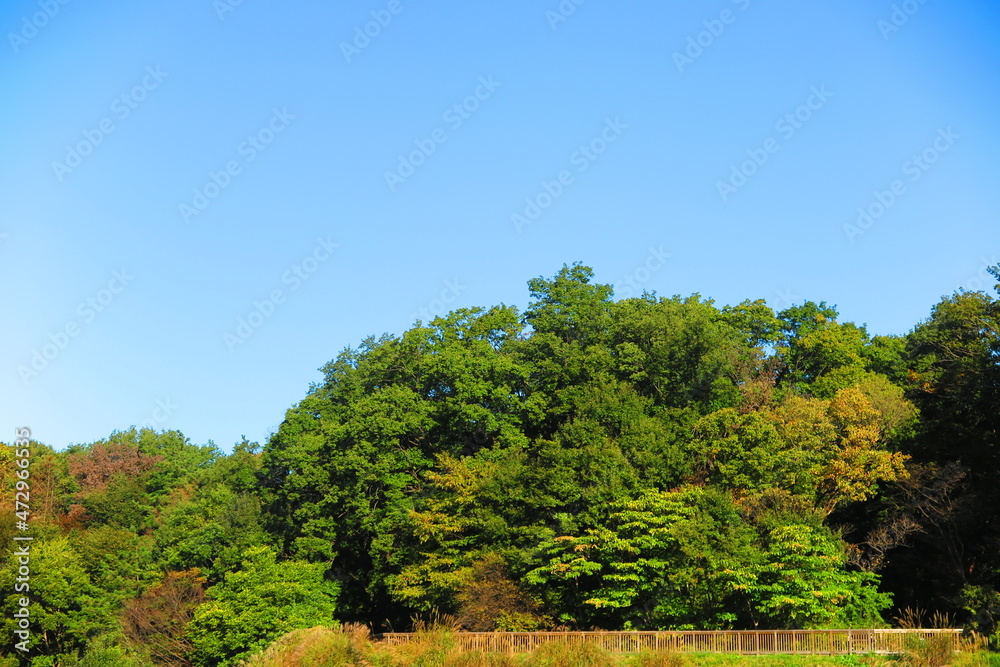 秋の青空と六道山公園,の展望台の風景1