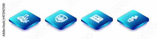 Set Isometric line Test tube with marijuana, Shield and, Online buying and Marijuana plant pot icon. Vector