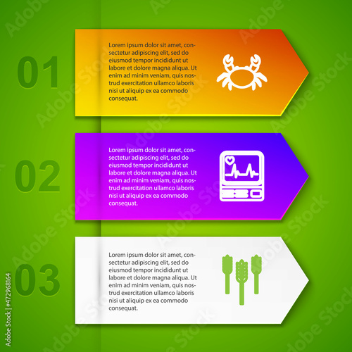 Set line Crab, Monitor with cardiogram, Wheat and Man excessive sweating. Business infographic template. Vector