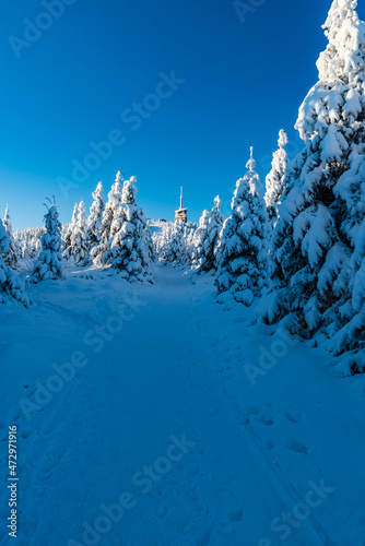 Lysa hora hill in winter Moravskoslezske Beskydy mountains