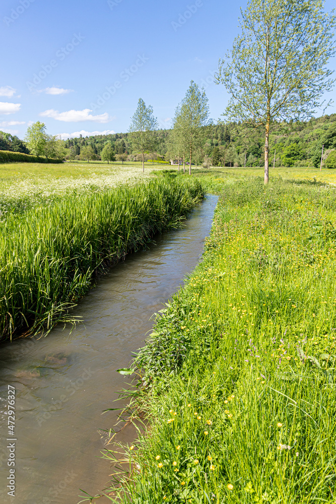 Obraz premium The infant River Coln in June near the Cotswold village of Yanworth, Gloucestershire UK